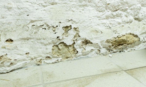 Bausachverständiger misst mit einem Feuchtemessgerät die Wandfeuchte an einer Schimmelstelle