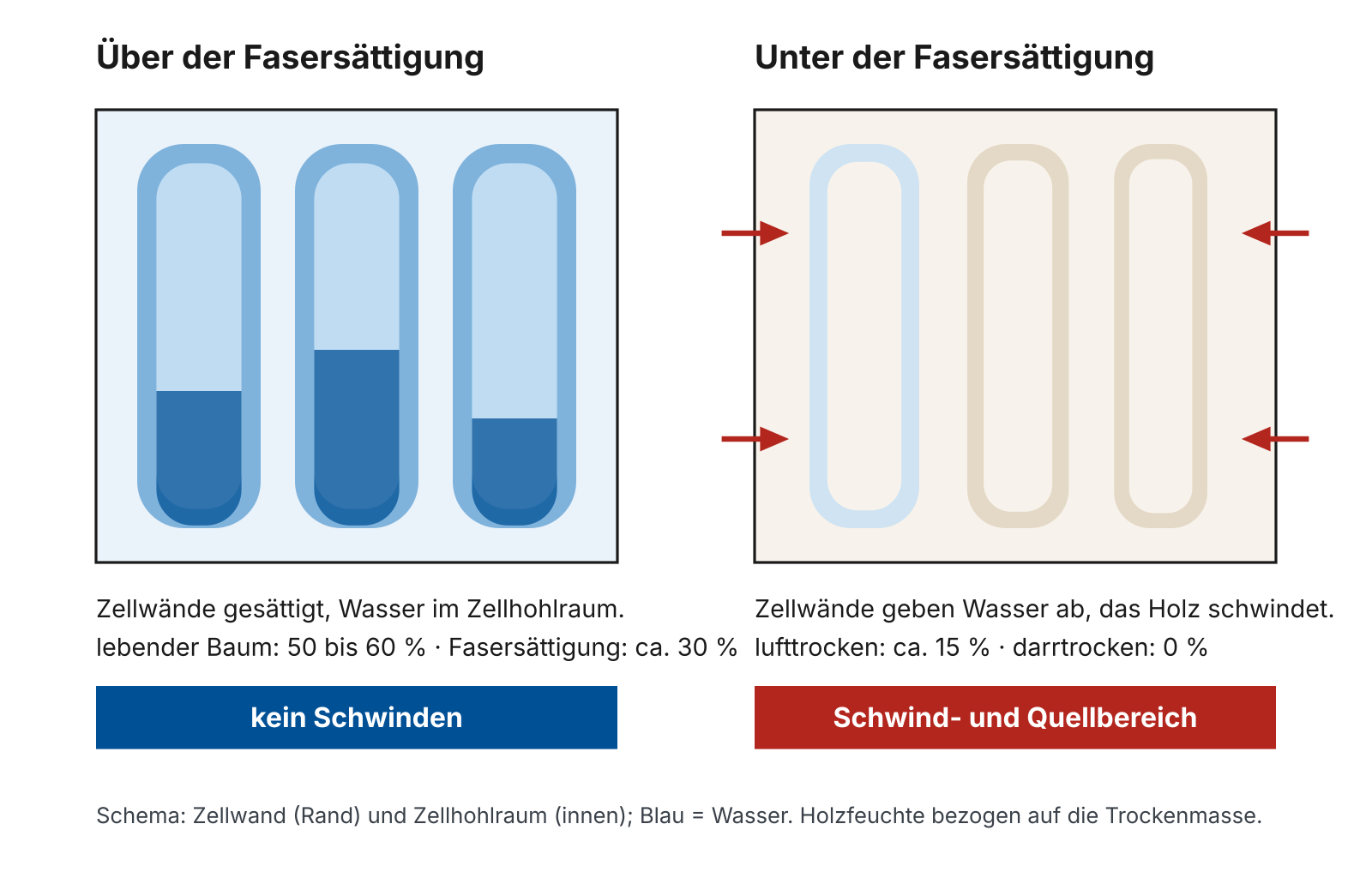 Schema Zellwand und Wassergehalt: über der Fasersättigung kein Schwinden, unter der Fasersättigung Schwind- und Quellbereich