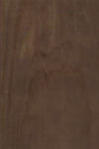 Holzoberfläche chemisch modifiziertes Holz