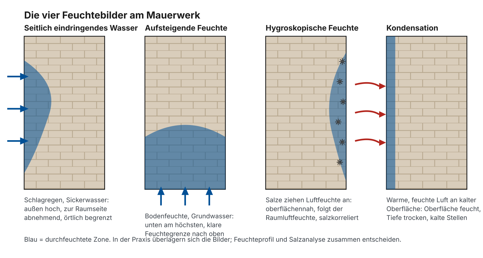 Die vier Feuchtebilder am Mauerwerk: seitlich eindringendes Wasser, aufsteigende Feuchte, hygroskopische Feuchte durch Salze, Kondensation
